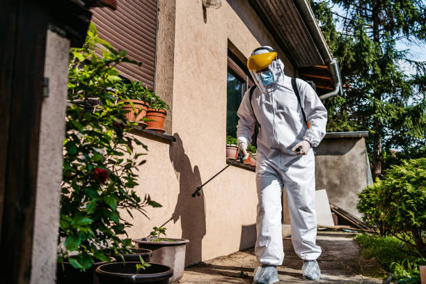 Best Rat Extermination Near Me  in Jennings Lodge, OR