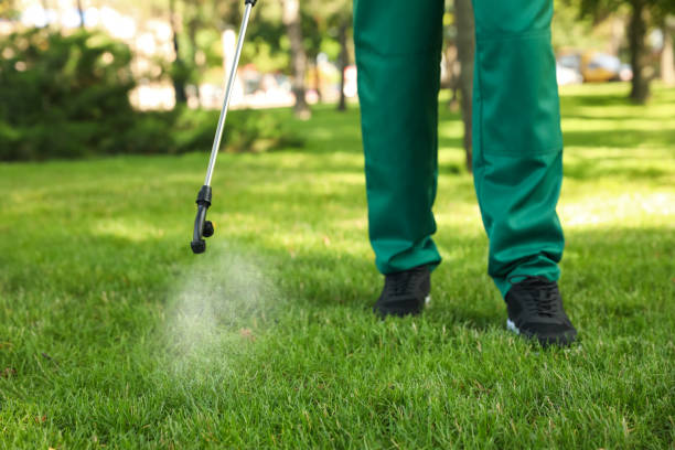 Best Local Pest Control Services  in Jennings Lodge, OR