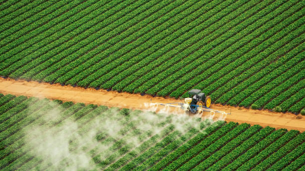 Best Termite Control Services  in Jennings Lodge, OR