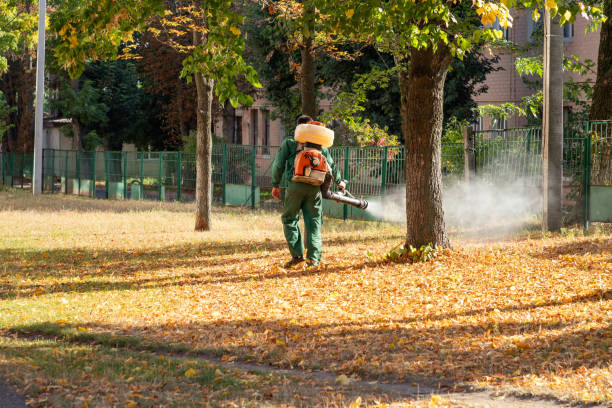 Best Insect Control  in Jennings Lodge, OR