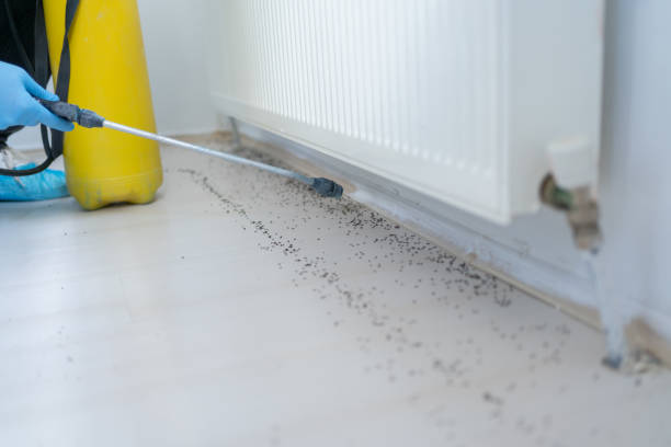 Best Pest Inspection Near Me  in Jennings Lodge, OR